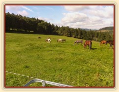 Webkamera umístěná na nádrži s vodou