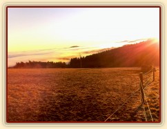 Webkamera mířící na zimní výběh