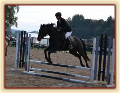 Fivitas Dei, pětiletá klisna ČT