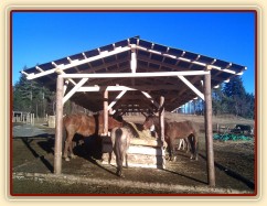 Nový krmelec na seno se střechou a podlahou