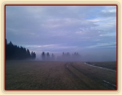 Mlžné vyjížďky...