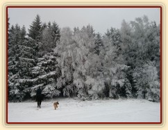 Zimní vyjížďka...