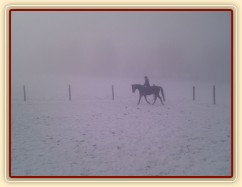 Mlžná jízdárna - naše Agáta se na stará kolena vrhla na učení dětí:-)