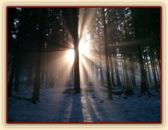 Mlžné vyjížďky...