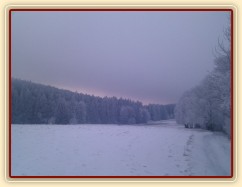 Mlžné vyjížďky...