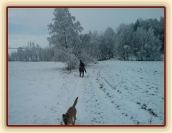 Zimní vyjížďka...