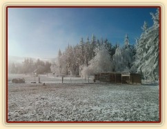 Mlha odešla, námraza zůstala:-)