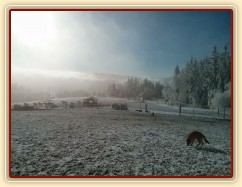 Mlha odešla, námraza zůstala:-)