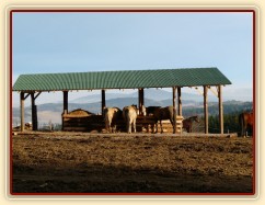 Nový krmelec na seno se střechou a podlahou