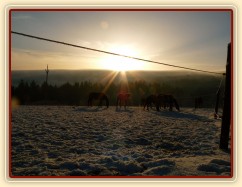 Ranní slunce nad mlhou