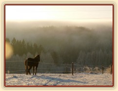 Mlha se valí přes kopce...