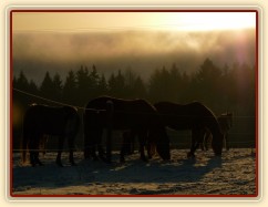 Mlha se valí přes kopce...