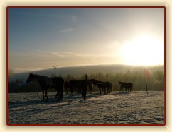 Mlha se valí přes kopce...