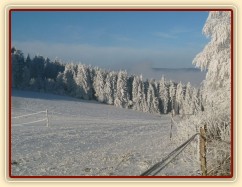 Vše je omrzlé z mlhy