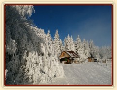 Vše je omrzlé z mlhy