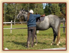 Krátce po obsednutí - dotahování sedla