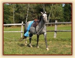 Krátce po obsednutí - s plachtou