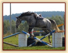 Skok se sedlem byl pro Caila také těžký