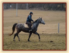 Březen 2014 - po základním výcviku, klus
