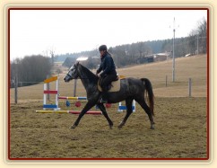 Březen 2014 - po základním výcviku, klus