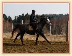 Březen 2014 - po základním výcviku, cval