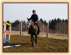 Březen 2014 - po základním výcviku, krok