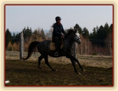 Březen 2014 - po základním výcviku, cval