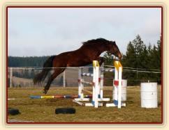 Skákání ve volnosti jaro 2014 - 130cm