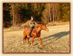Pauza na vyjížďce, březen 2014