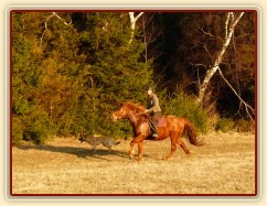 Pauza na vyjížďce, březen 2014