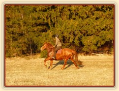 Pauza na vyjížďce, březen 2014