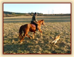 Pauza na vyjížďce, březen 2014