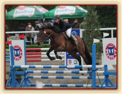 Ascara na závodech v Plzni, květen 2014, parkury ZM a Z