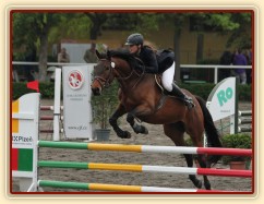 Ascara na závodech v Plzni, květen 2014, parkury ZM a Z