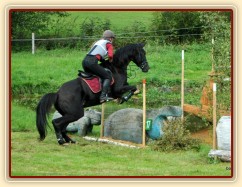 Všestrannost Borová, Arwen a Radka Císařová, soutěž ZL
