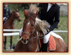 Parkury Klatovy, Vikina a Adéla Císařová, soutěž ZL