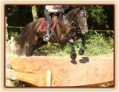 Všestrannost Brno, Arwen a Radka Císařová, soutěž ZL