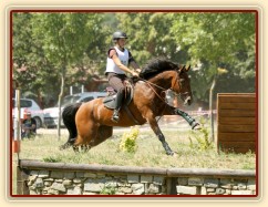Všestrannost Brno, Bára a Adéla Císařová, soutěž ZL