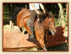 Všestrannost Brno, Bára a Adéla Císařová, soutěž ZL