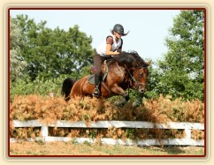 Všestrannost Kolesa, Bára a Adéla Císařová, soutěž ZL