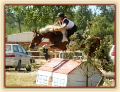 Všestrannost Brno, Vikina a Adéla Císařová, soutěž L