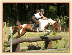 Všestrannost Brno, Vikina a Adéla Císařová, soutěž L