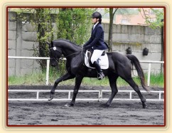 Drezura Plzeň, Carthago a Adéla Císařová, soutěž L