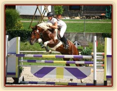 Parkury Klatovy, Vikina a Adéla Císařová, soutěž ZL