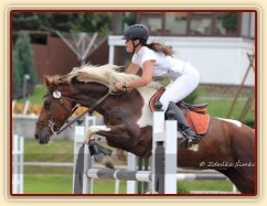 Parkury Klatovy, Vikina a Adéla Císařová, soutěž L
