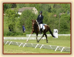 Všestrannost Borová, Vikina a Adéla Císařová, soutěž L