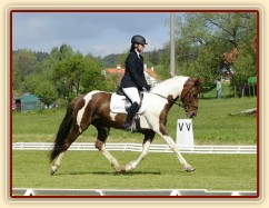 Všestrannost Borová, Vikina a Adéla Císařová, soutěž L