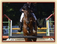 Všestrannost Brno, Bára a Adéla Císařová, soutěž ZL