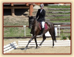 Všestrannost Brno, Arwen a Radka Císařová, soutěž ZL