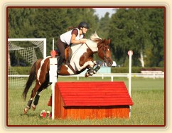 Všestrannost Kolesa, Vikina a Adéla Císařová, soutěž L